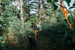 BIB: 
                            <button type="button" onclick="openModal(25658293)" class="btn btn-primary btn-sm float-right btn-popup" data-toggle="modal" data-target=".modal-high-quality">
                        <i class="fas fa-shopping-cart"></i> Add to Cart
                    </button>
                                            <button type="button" onclick="isThisMe(25658293, true)" class="btn btn-success btn-sm float-right btn-popup btn-isme hidden" data-toggle="tooltip" data-placement="bottom" title="นี่คือรูปของคุณใช่ไหม คลิกที่นี่เพื่อเอาเข้าอัลบั้ม">
                        <i class="fas fa-plus"></i> Add to album
                    </button>
                    <button type="button" onclick="isThisMe(25658293, false)" class="btn btn-warning btn-sm float-right btn-popup btn-isnotme hidden">
                        <i class="fas fa-ban"></i> Remove from album
                    </button>